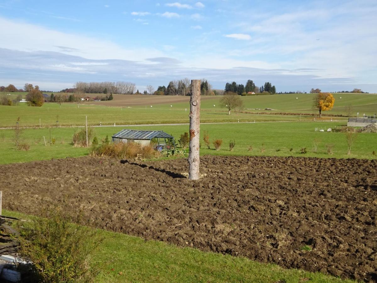Palmengarten Finning Exteriör bild
