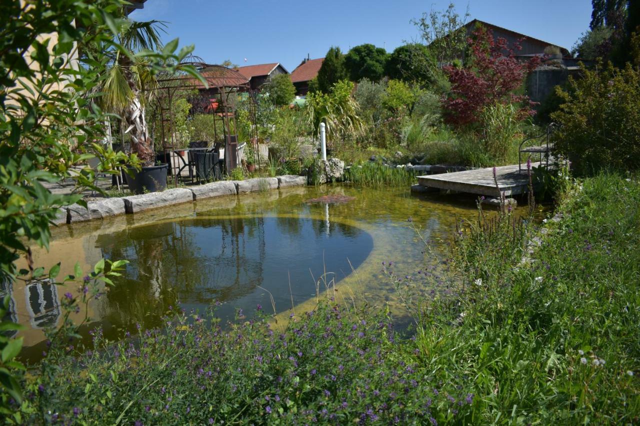 Palmengarten Finning Exteriör bild